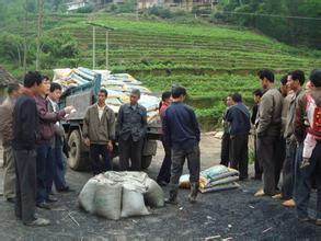 农村创业点子大全,农村创业新点子