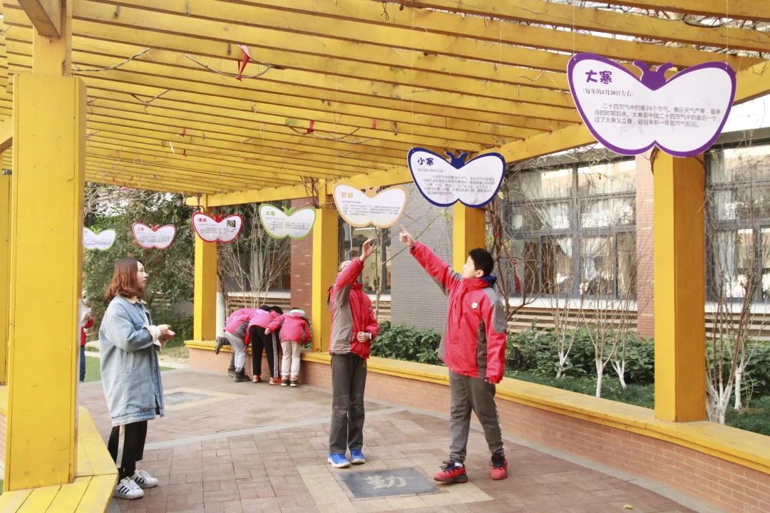 南京市金陵小学简介,南京市金陵小学多少个班