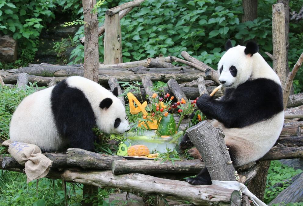 南京一座伟大的城市,南京一座城