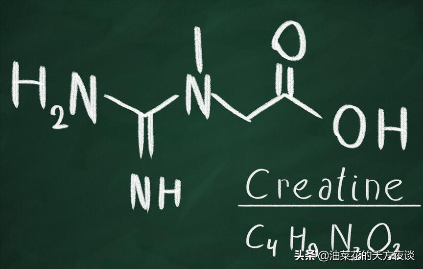 肾功能好坏看肌酐还是尿酸,肌酐与肾功能的关系