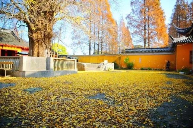 在上海拥有这样一个露台多幸福,在上海有一种温暖叫邻里互助