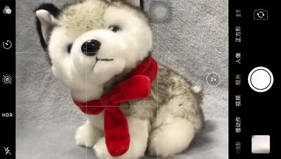 手机摄影拍照教程从零开始,手机拍照技巧和手机摄影分享