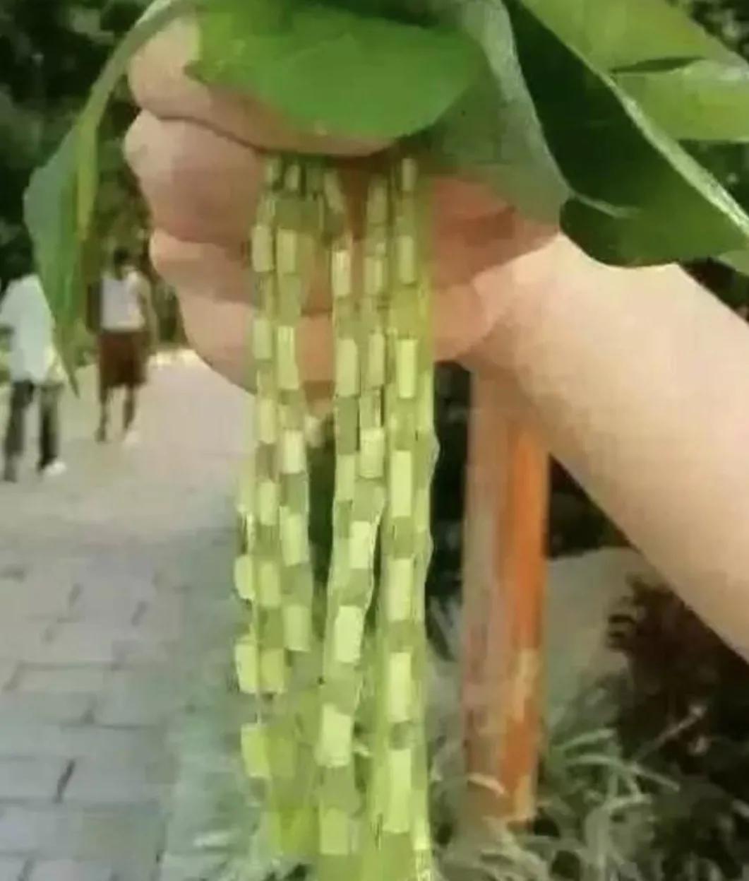 70后童年玩游戏的回忆完整版视频,70后80后童年经典游戏回忆