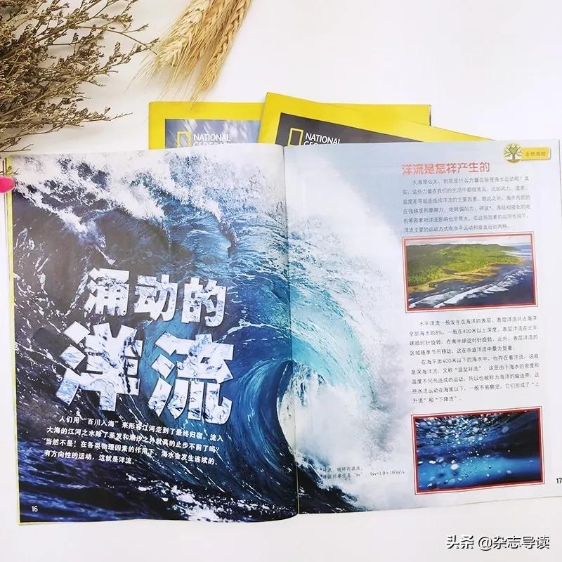 孩子必读的科普读物,哪些适合小学生看的科普杂志