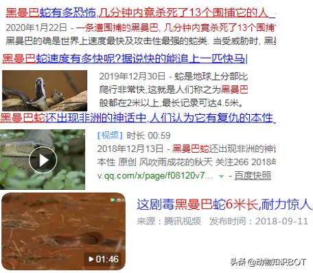 黑曼巴毒蛇的速度,2.5米黑曼巴毒蛇