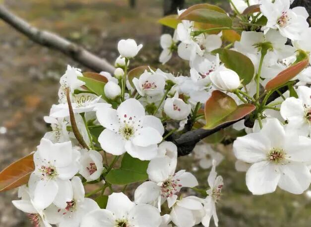 一段感情让你变得自卑又自负,因为自卑所以爱和伤害都是加倍的