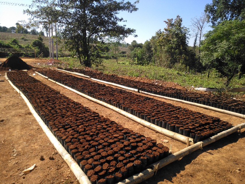 在缅甸建厂需要注意什么