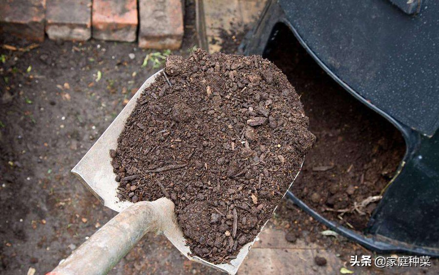 堆肥发霉怎么办,堆肥发臭很湿怎么补救