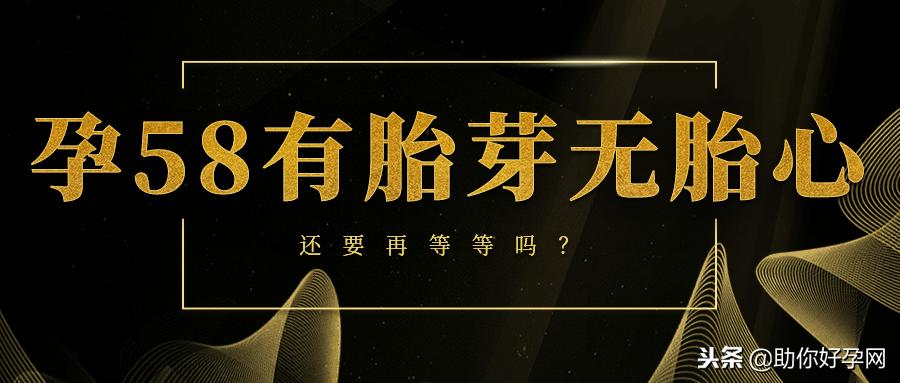 孕58天还没有卵黄囊,49天有胎芽6mm没有胎心怎么办
