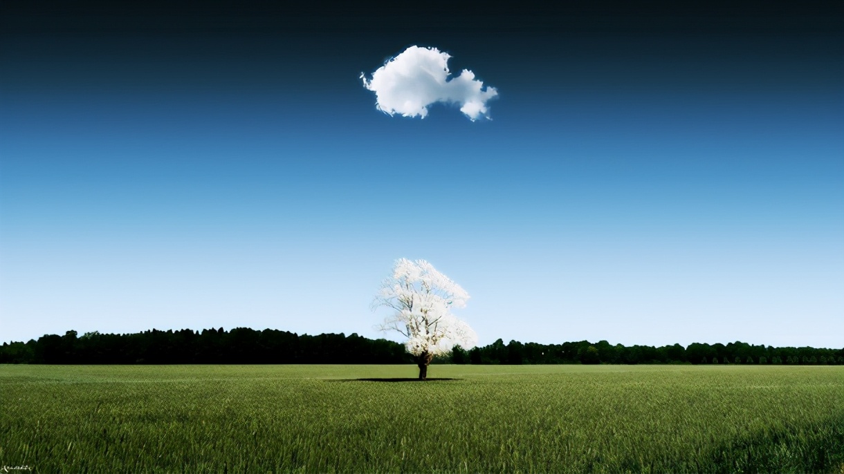 属牛宝宝男孩英文名字,属牛男孩的智慧好名字