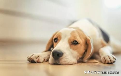 一个甘谷县金山镇水家岔村农民在深圳打工十三年以来的亲身感受！