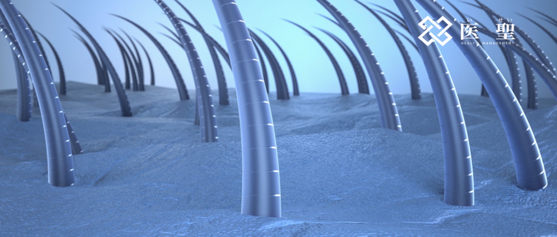 新的脱发指南,脱发患者重新生发案例