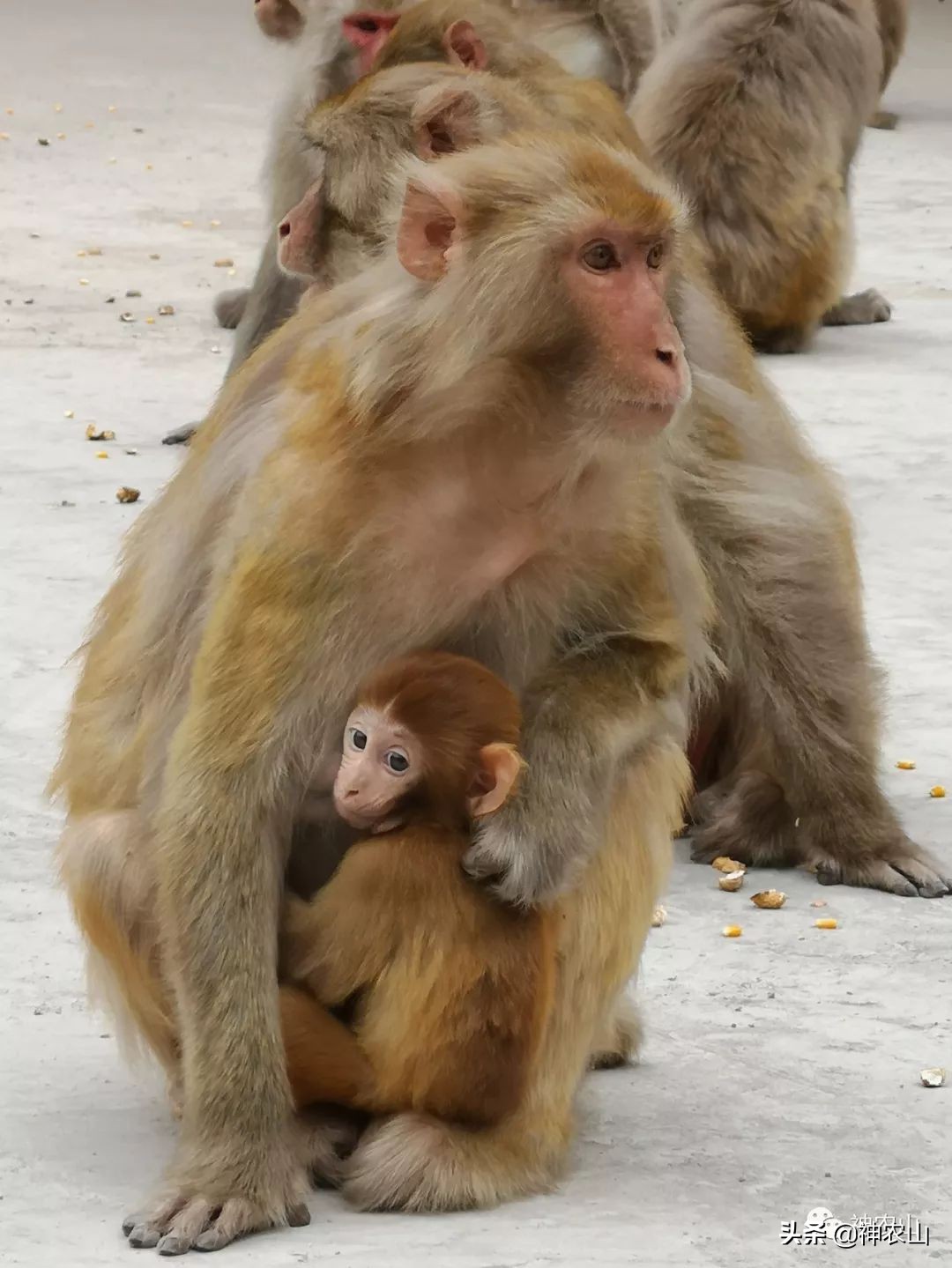 这就是生活第40集刘恺威,这就是街舞3