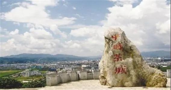 百年宋聘号,百年宋聘号普洱茶价格