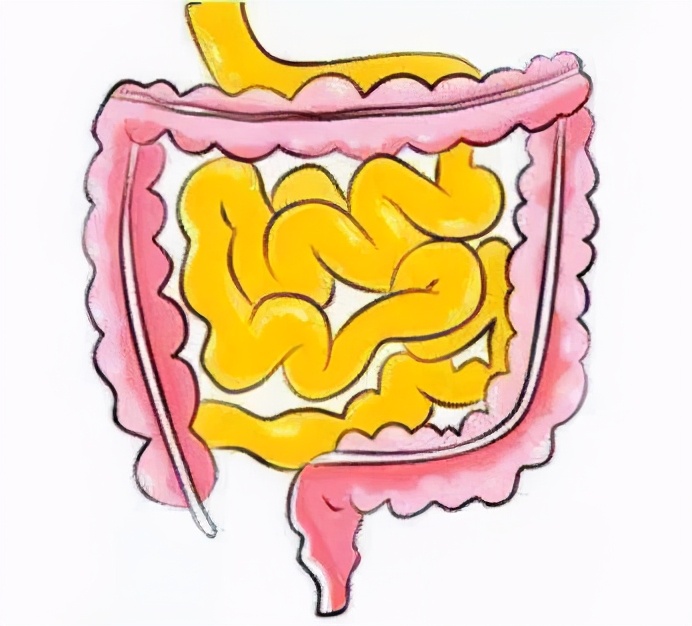 什么体质适合三伏天日灸,天灸贴膏药