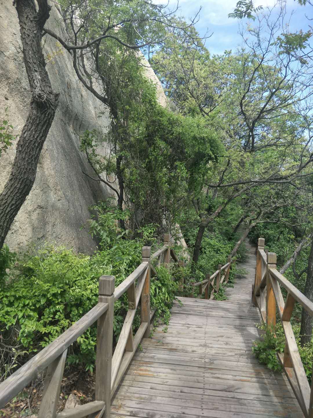 踏春五宝庵风景,踏春五宝庵山在哪里