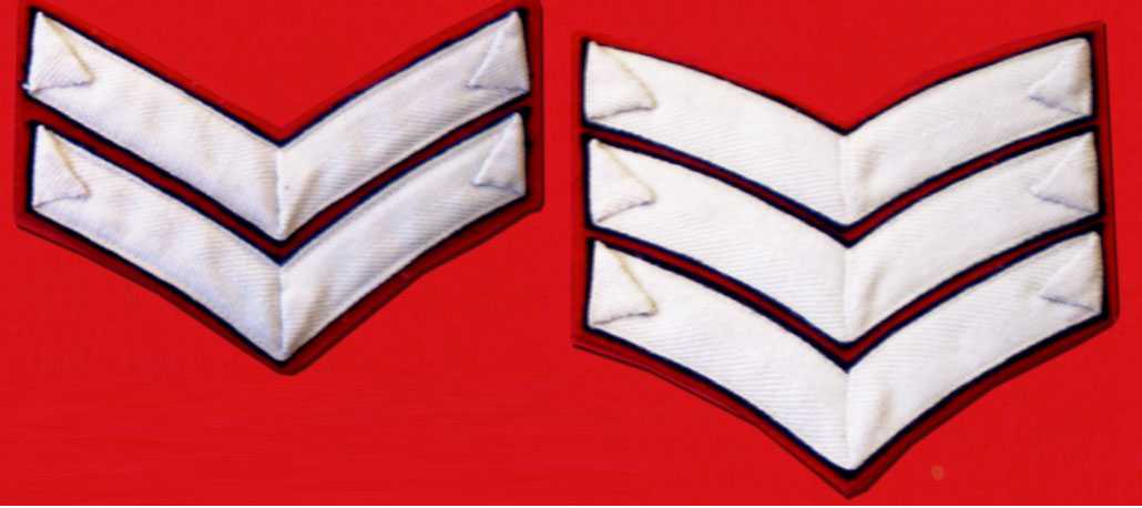 英国皇家卫队军衔图片,英国皇家5个步兵团