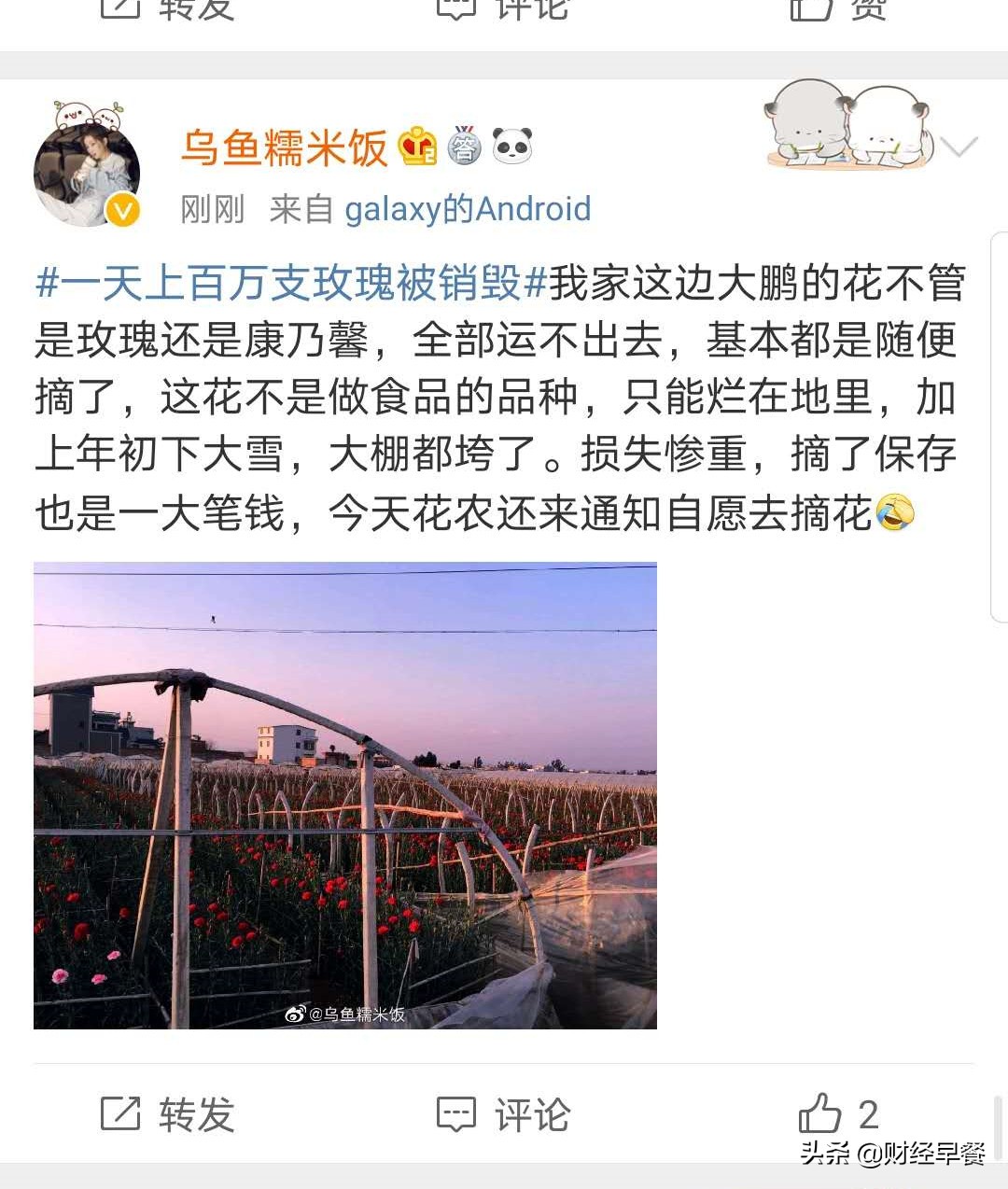 2020,情人节“辣手摧花”