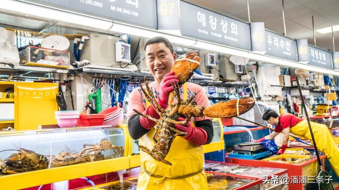 韩国有什么值得买的吃的,除了买买买还有什么活动