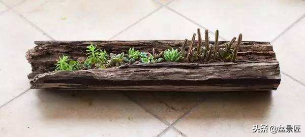 巧妙旧物改造塑料瓶变身手工花盆,旧物利用变废为宝制作花盆