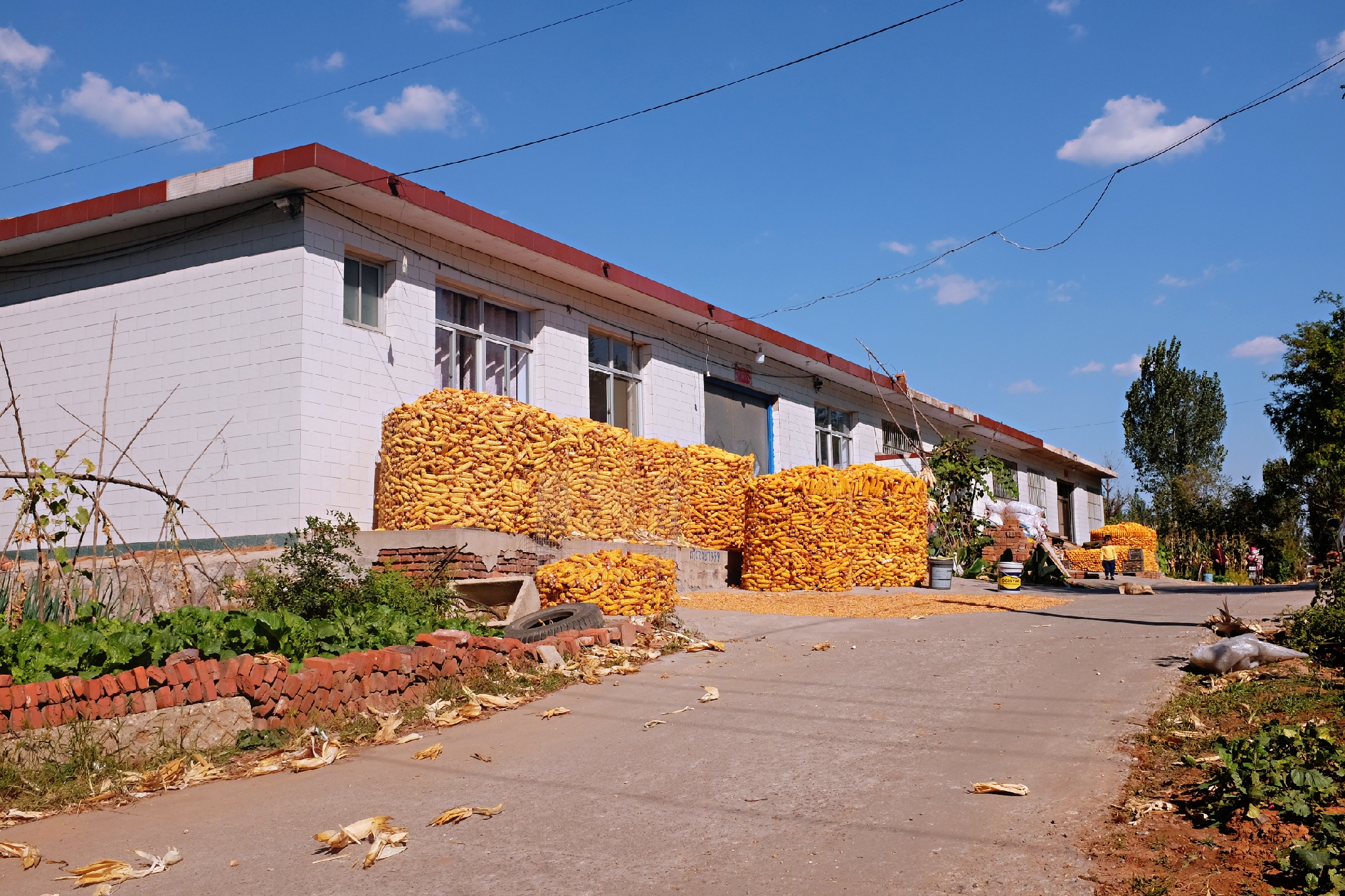 到了北戴河之后怎么去海滨浴场,北戴河怪楼奇园景区今天可以玩吗