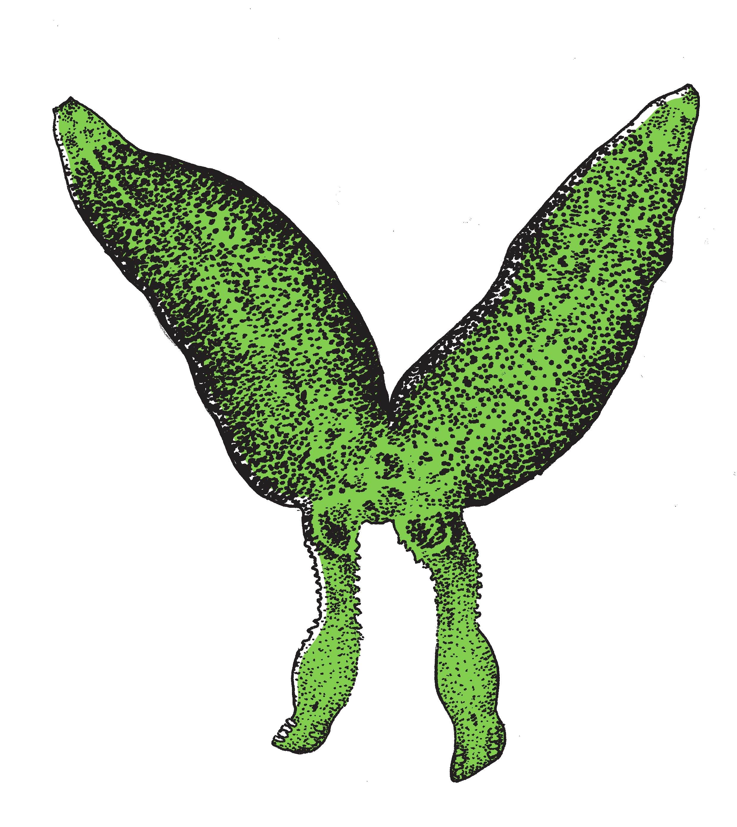 全世界一夫一妻的动物,大自然一夫一妻制的动物