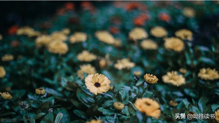 荣格心理学12种潜意识性格分析,荣格精神分析