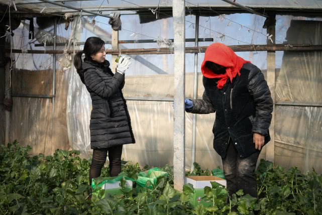 安徽90后萝卜西施,90后豆腐西施月入过万