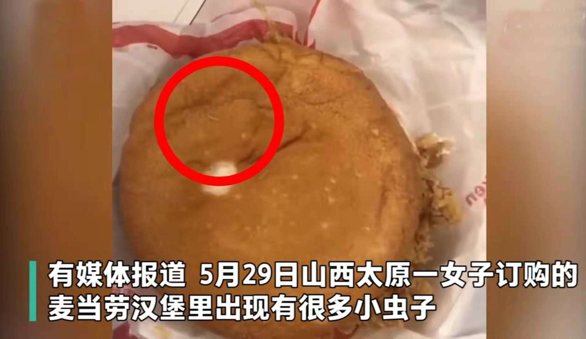 麦当劳汉堡有虫事件,女子吃麦当劳汉堡吃出蛆虫