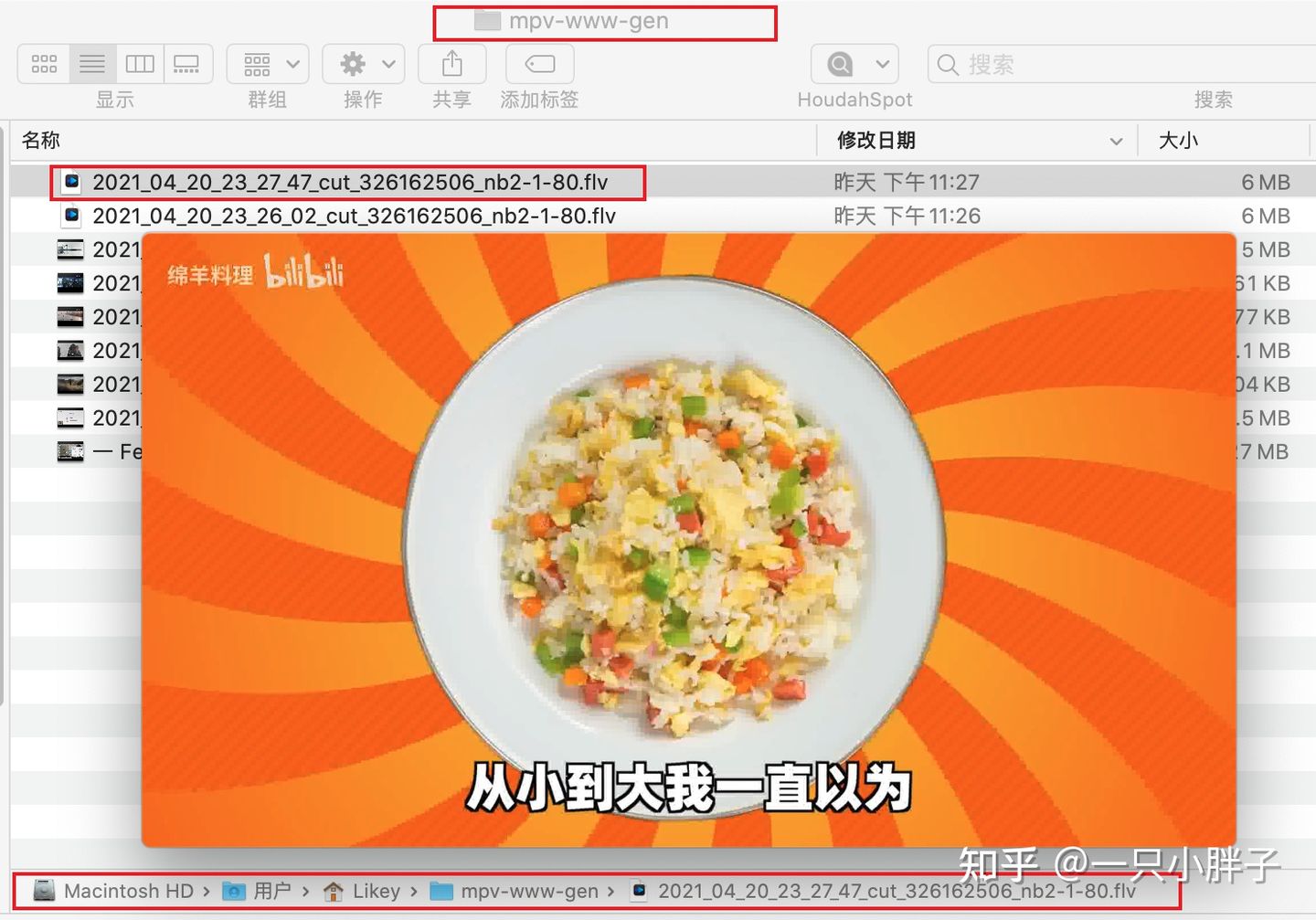 mpv播放器简介,mpv播放器配置文件