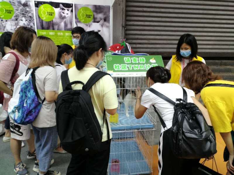 2021CPF重庆宠物展：让领养代替购买不再是空谈