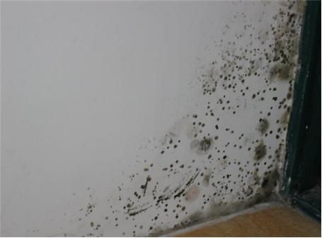 一楼潮湿墙面起皮发霉怎么处理,客厅墙面潮湿发霉起皮什么原因