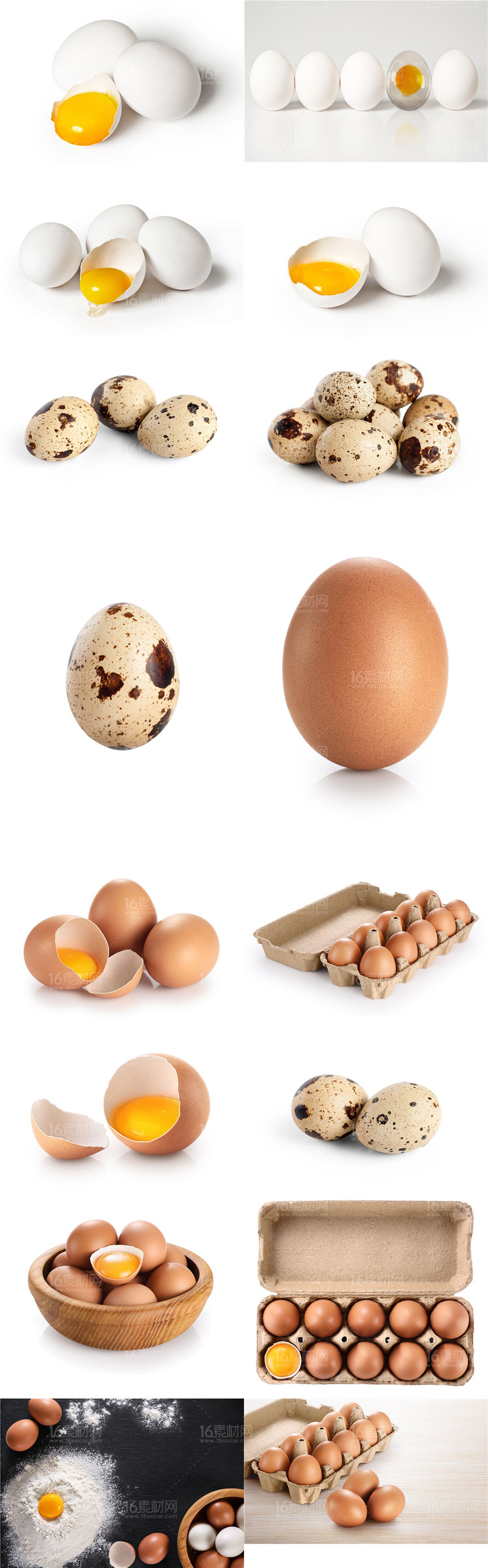 鸭蛋鸡蛋鹅蛋鹌鹑蛋有什么区别,鸡蛋鸭蛋鹅蛋鹌鹑蛋哪个更安全