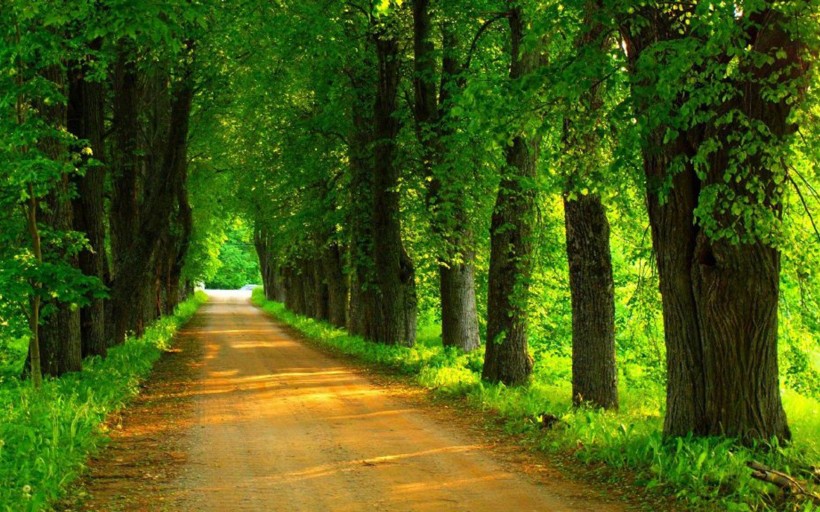 处事低调却深藏不露的星座,超然物外淡泊名利的星座有哪些