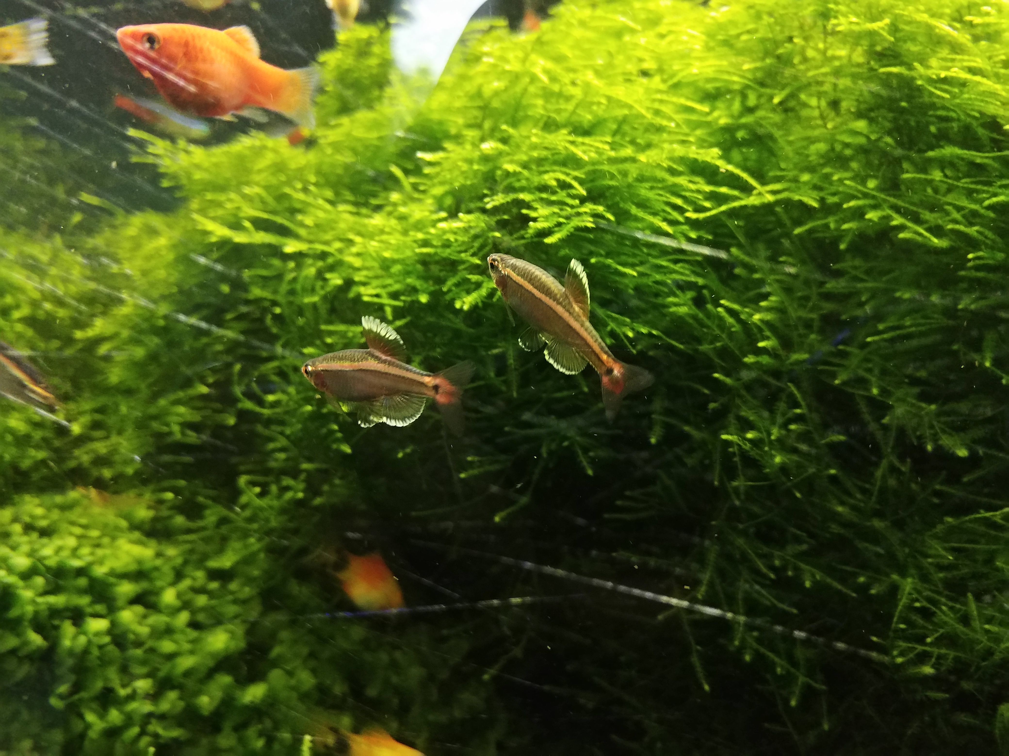 预算只有200元可以买一套路亚吗,预算只有200不在网上买能买什么