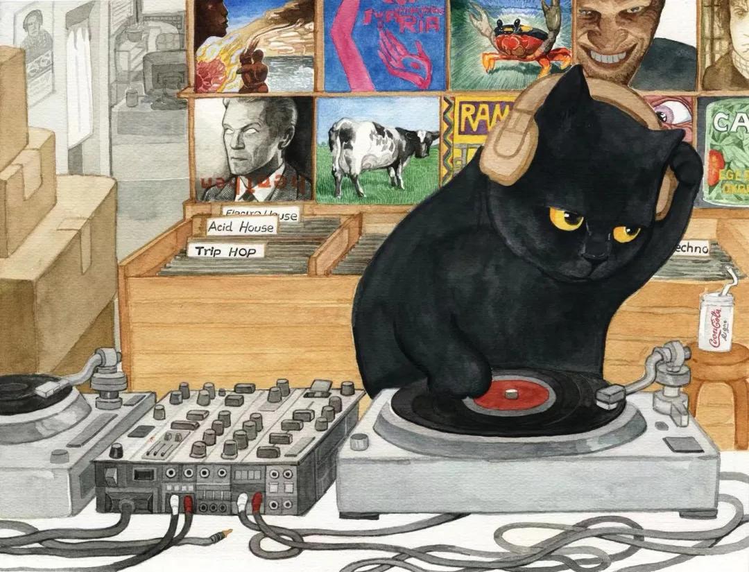 猫和唱片的共通之处？“都很破财！”|专访画家健一