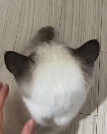 煤老板爆红完整版,煤老板ins