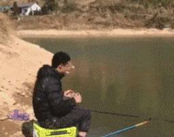 搞笑鸡下蛋恶搞图片,鸡图搞笑图片