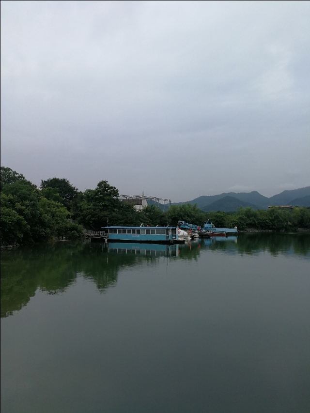 庚子律诗100首,庚子杂咏时间