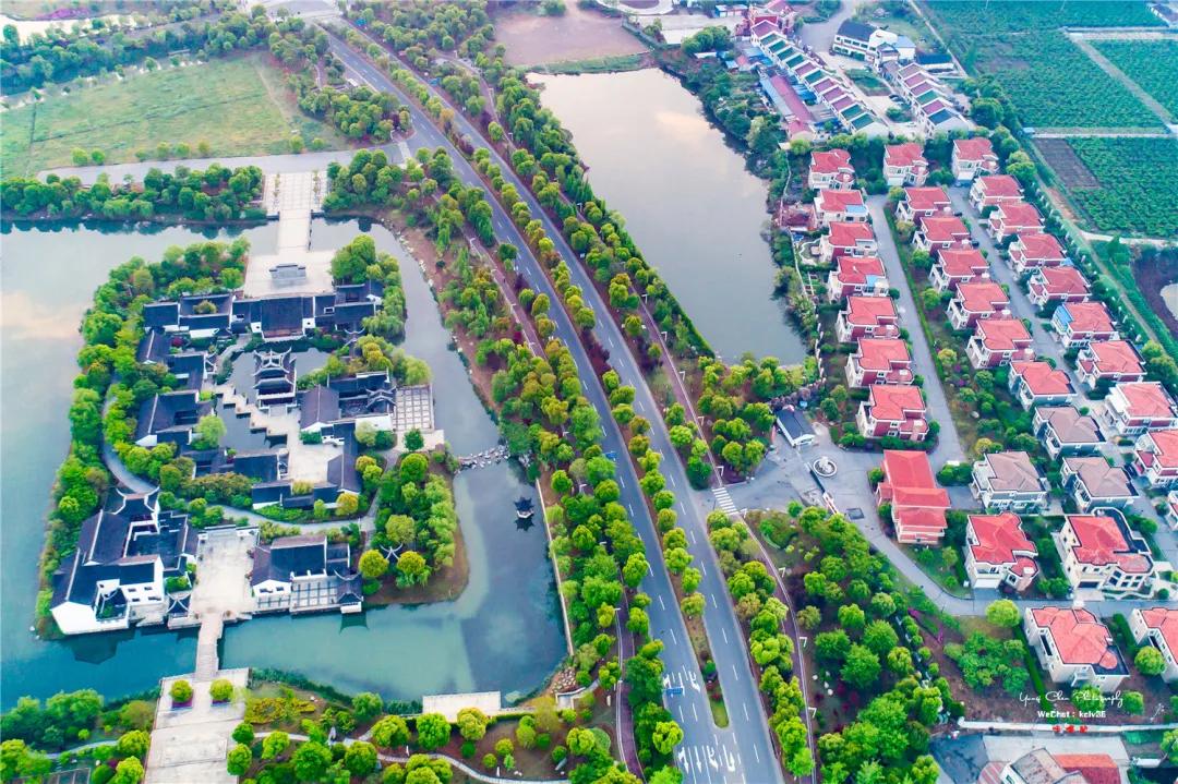 凤凰腾飞吉祥如意,凤凰腾飞商贸