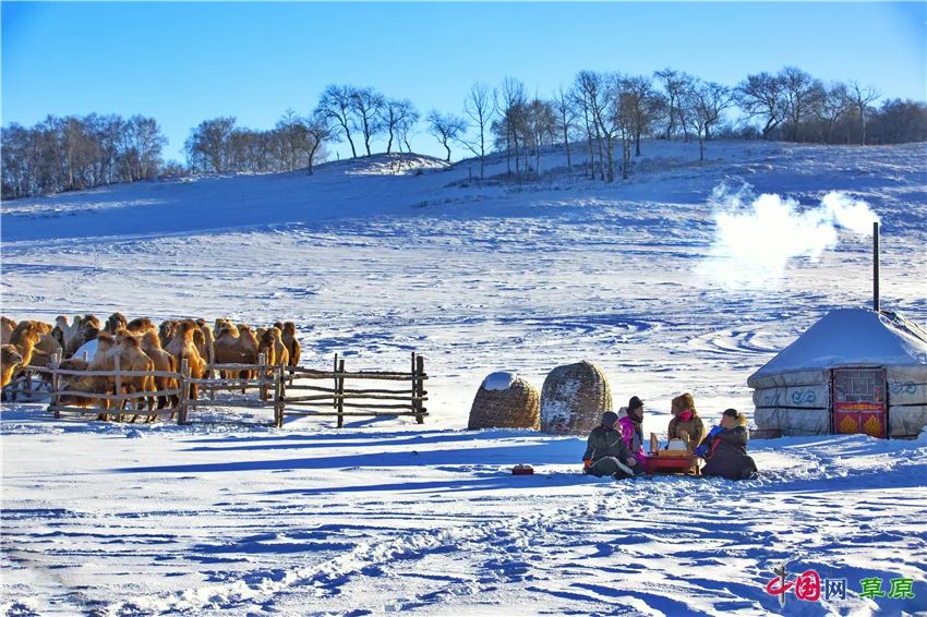 “草原诗人”冰风：不愿再看到“两匹马，在草原的网围栏两侧徘徊”