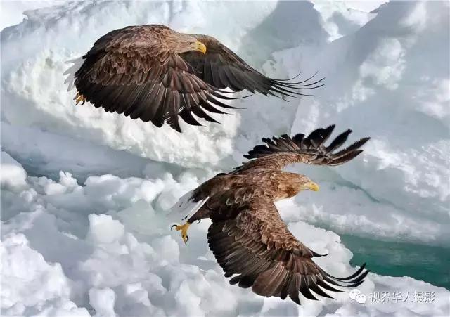 大美中国主题摄影作品征集启事,第五届华人摄影展入选名单