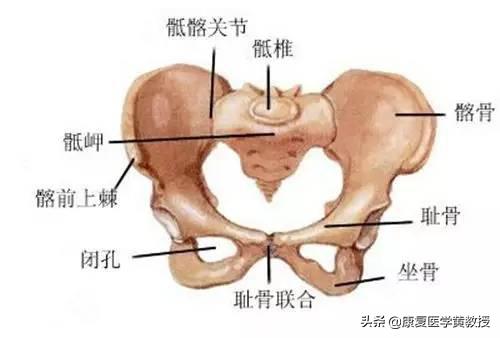 想象力重要吗,想象力的重要性