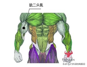 减脂健身计划一周表,减脂健身计划一周表图