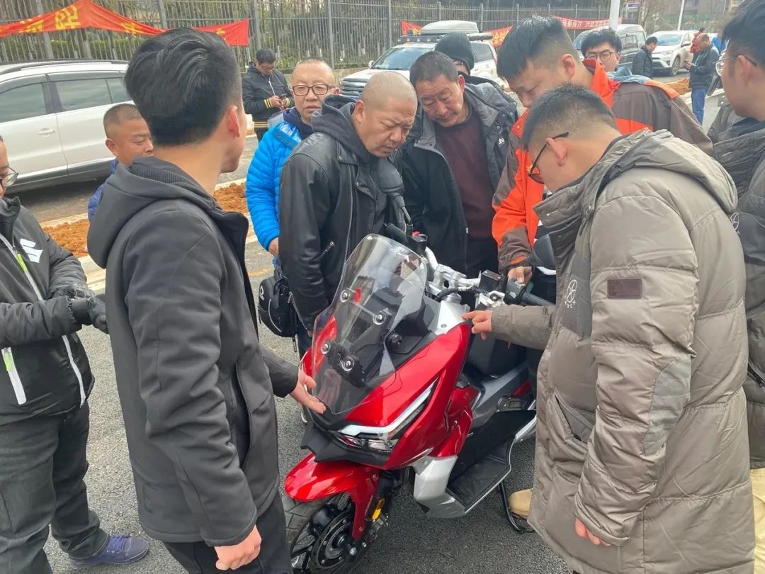 大阳深度评测,大阳解读