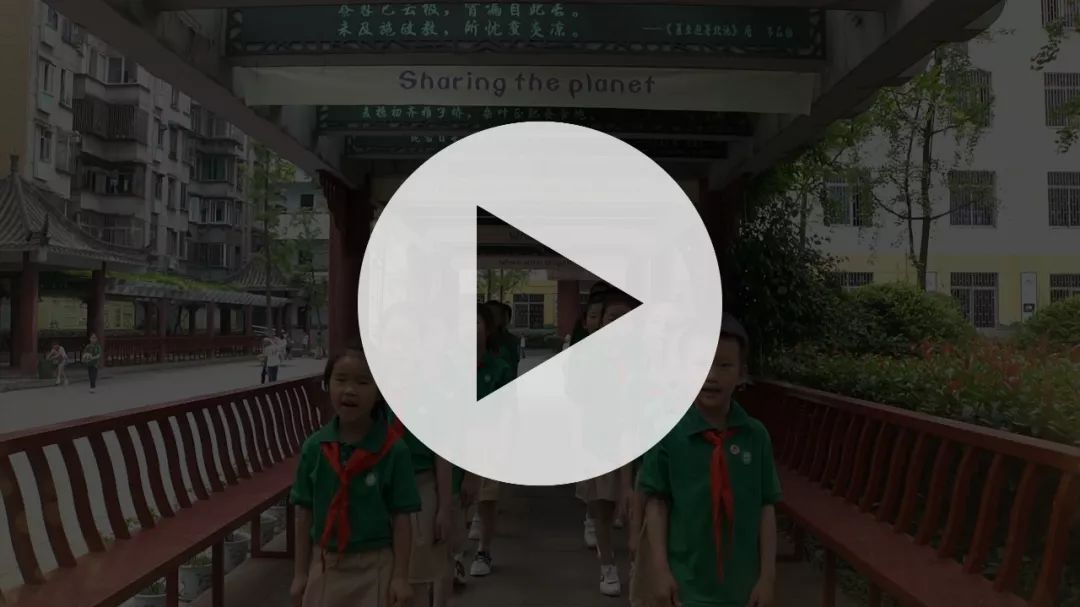 校园快闪歌曲完整版成都,快闪最感人的校园歌曲