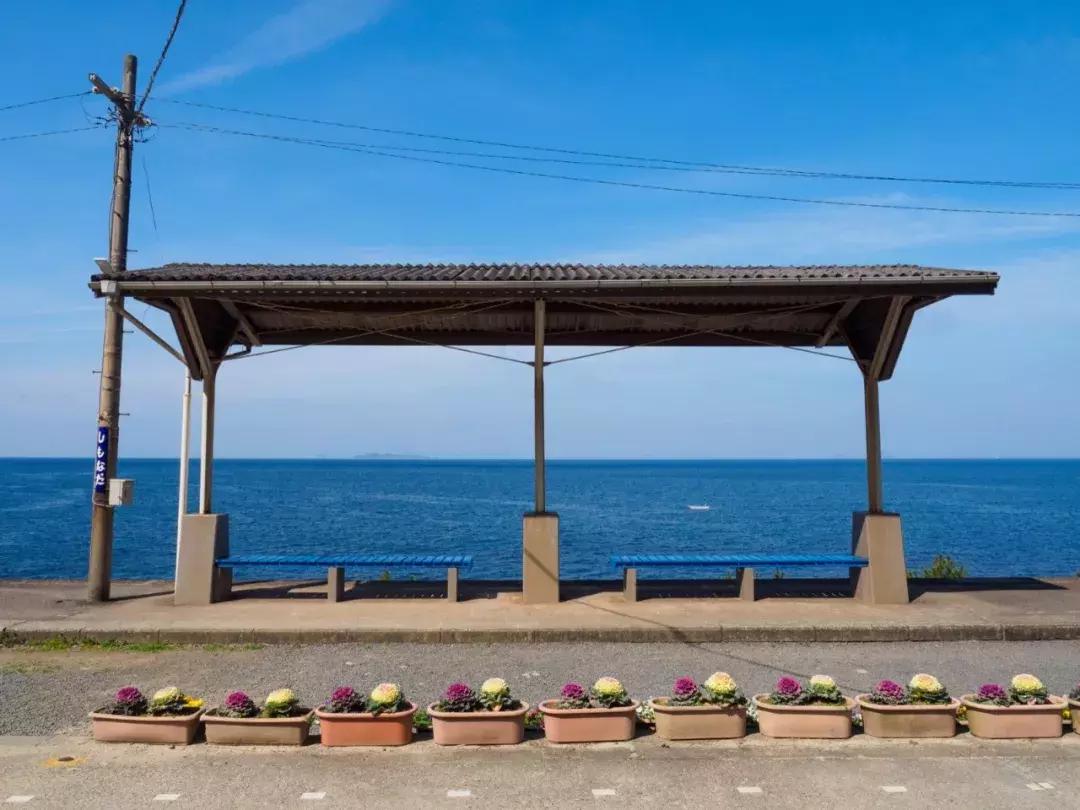 新海诚的唯美动画,新海诚日漫治愈风景