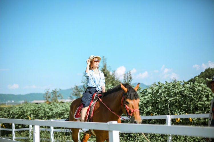 云南旅游团报团套餐,跟团去云南旅游最便宜多少钱