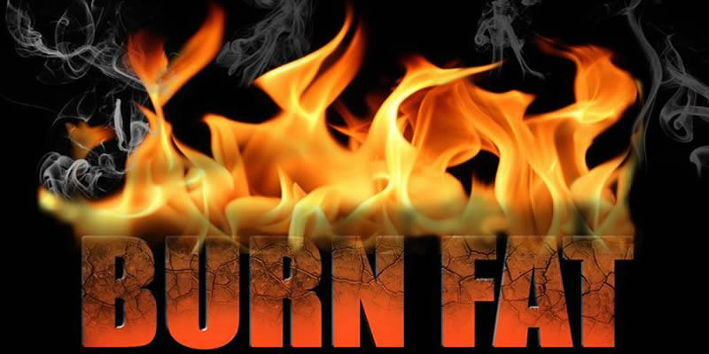 肥宅必看4分钟高效燃脂甩掉大肚,肥宅之光bbc