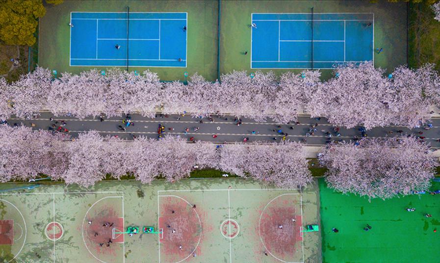 上海偏科严重的大学，土木工程全国第一，排名却进不了全国前10